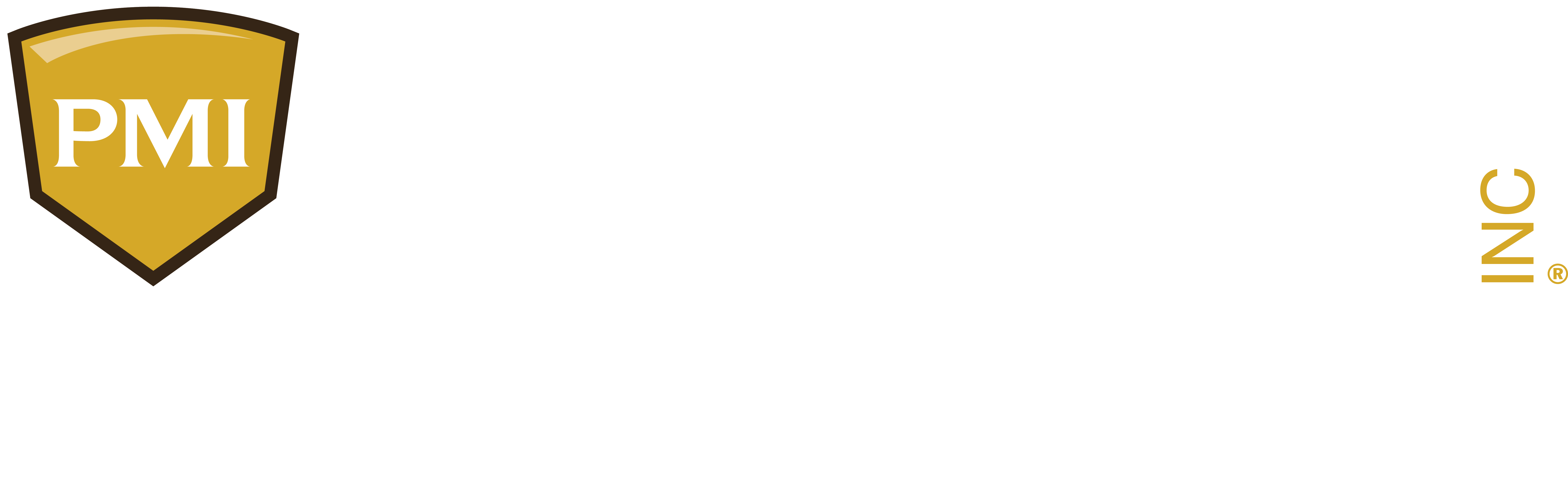 PMI Curacao logo